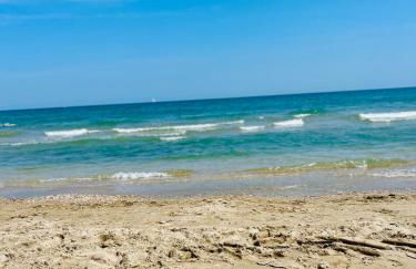 Green House - Foto 32