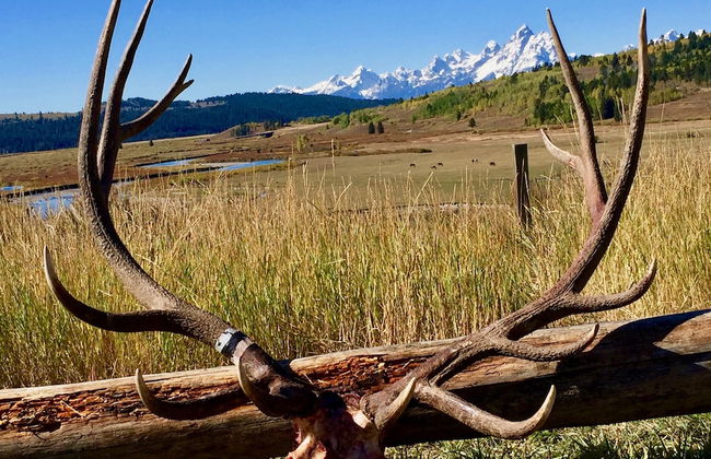 Buffalo Valley Ranch - Foto 12