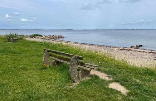Reetdachkate Fuchsgraben - naturnah & stilvoll mit Wald-Sauna - Foto 72