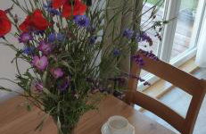 Zielony domek nad Marychą w Budwieć - Foto 30