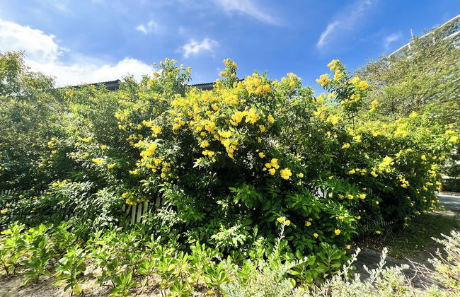 Pema SonaSea Villa - Long Beach Phu Quoc - Foto 8