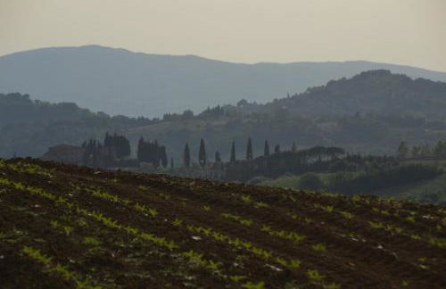 Agriturismo La Casetta del Sole - Photo 27