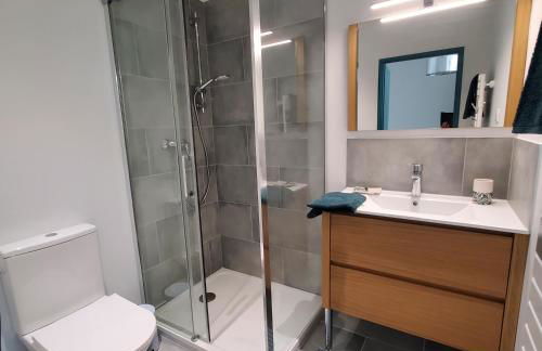 Studio indépendant de 30 m² - St Cléophas - Photo 6