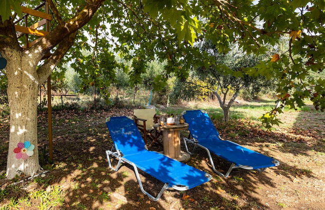 Petalidi Sunny Home Two - Foto 47