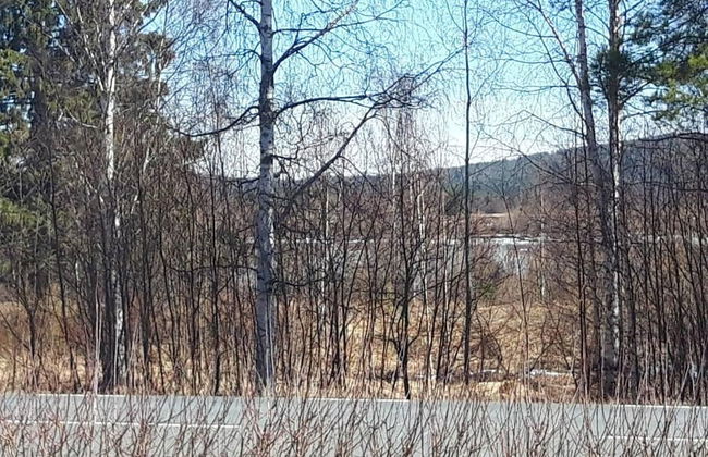 Old Post Office now Cosy Apartment Close to Nature - Foto 13