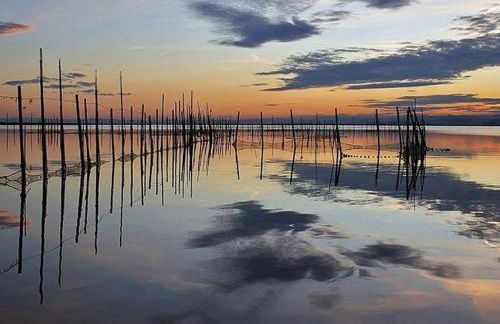 Apartamento en la Ciudad de las ciencias - Photo 12