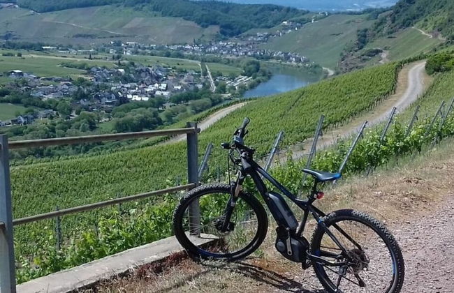 Appealing Apartment in Losnich - Photo 12