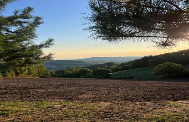 Holiday Home Monte Colombo Wine & Culture - Foto 22