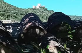 I Gelsi di Colombata Locazione turistica breve in campagna - Foto 31