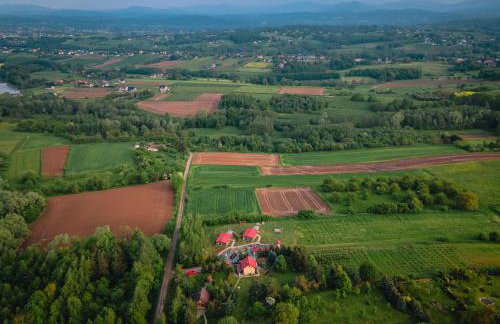 Domki na Górniej Łące - Dwa Wróble - Foto 25