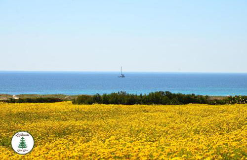 L'Araucaria Appartamento Suite Il Ginepro - Foto 46