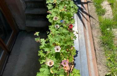 Le Cocon du Potier - Foto 2