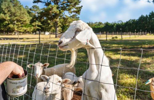 Meadow Farm in Holly Springs, NC - Foto 35