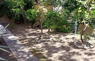 L' eden di Erasmo - Foto 27