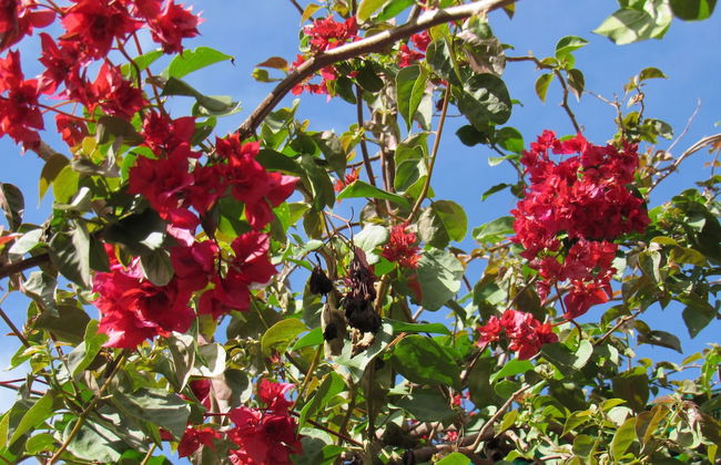 Room-ñau Father for 3 People - Foto 41