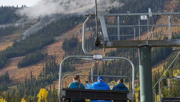 Excursión a un refugio de osos grizzly - Foto 5, Telesilla Golden Eagle Express Gondola