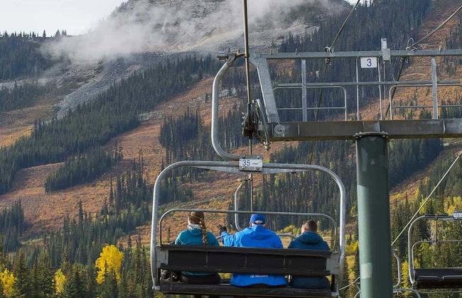 Excursión a un refugio de osos grizzly - Foto 5