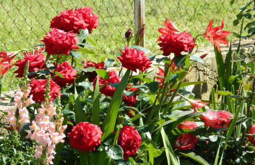 Bartulovi dvori - Foto 21