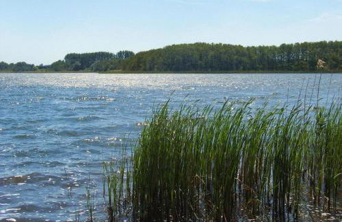 Reihenhaus am Kummerower See, Sommersdorf - Foto 18