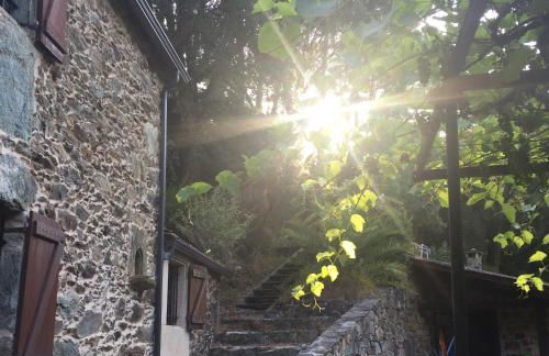 O Muíño da Balsiña - Foto 30