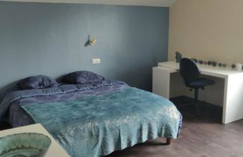 Le 135, logement spacieux entre ville et volcans - Foto 1