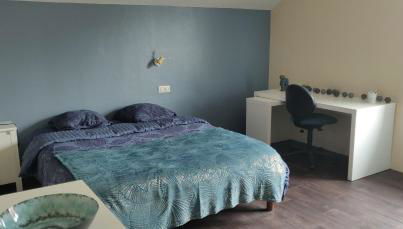 Le 135, logement spacieux entre ville et volcans - Foto 1