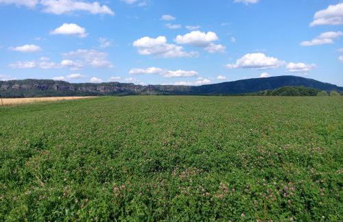 Ferienwohnung Falkennest - Foto 16