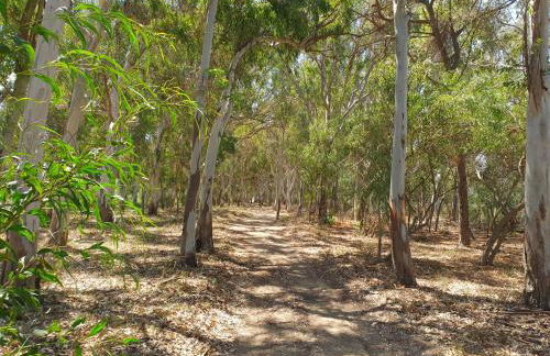 Villa Capriccio - Foto 30