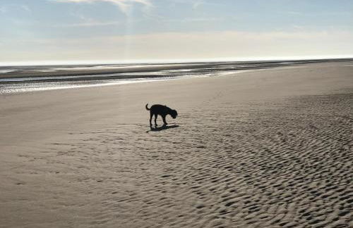 Combe-n-Sea - Foto 35