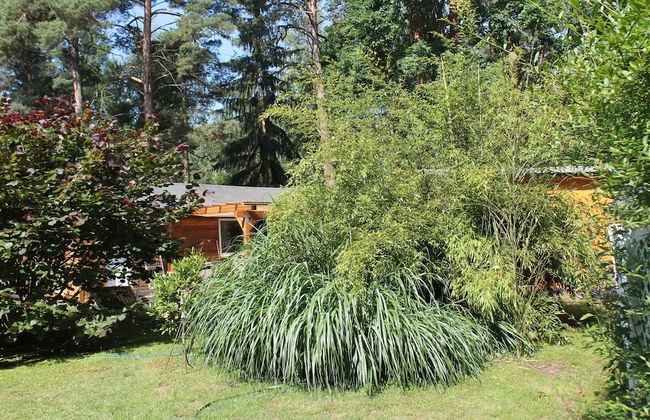 Haus Waldidyll am See 1 - Foto 19