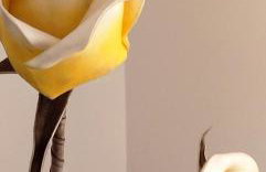 Lovely Place - Foto 24