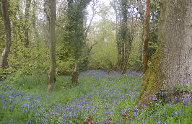 Marshwood Farm B&B - Photo 19