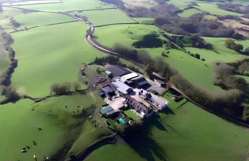 Bettys Barn - Foto 48