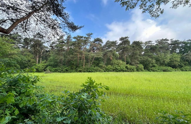 Holiday Home in Zelhem With Forest and Hot Tub - Foto 28