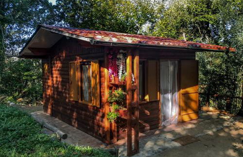 CHALET NEL BOSCO - TENUTA BOCCHINERI - Photo 16