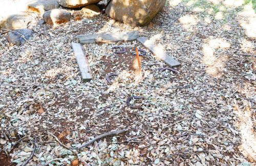 Pine Hills Cabin in Julian - Foto 42