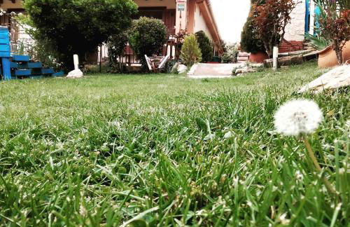 Casa Rural El Arroyo - Foto 44