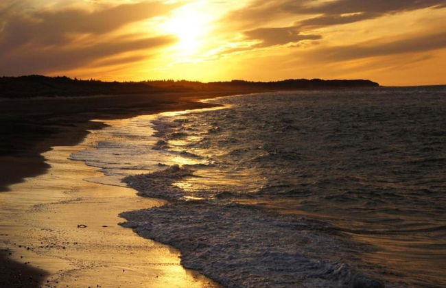 Komfortables Ferienhaus in Zierow mit Sauna - Photo 21