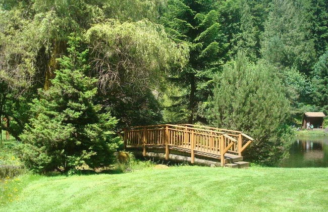 35SL - A/C - Pets Ok - Fireplace - Sleeps 6 - Foto 18