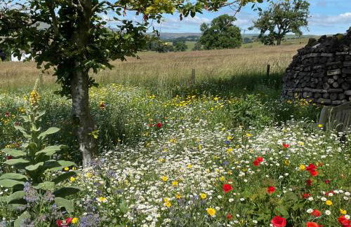 Luxurious Granny House Bell Busk in Malhamdale - Foto 45