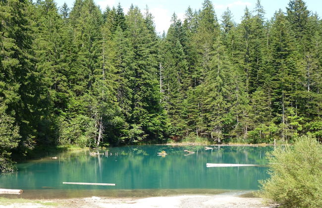 Apartment in Tropolach Near Ski Lift - Foto 21