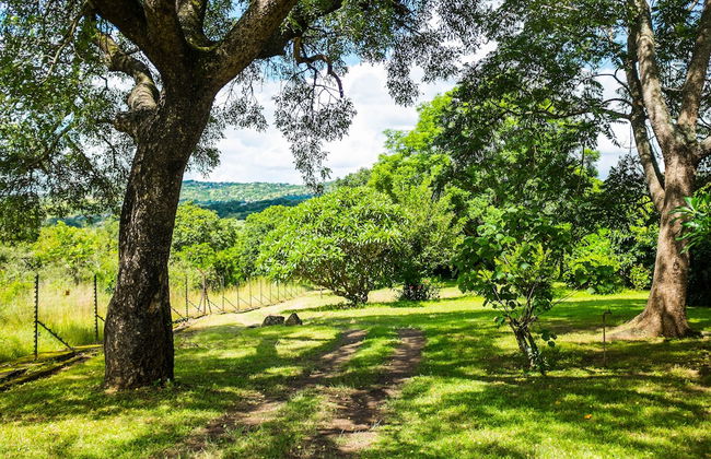 Near2Numbi - Foto 57