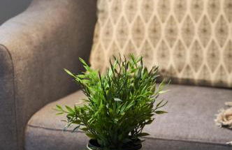 San Jacinto Triana Deluxe by Valcambre - Foto 33