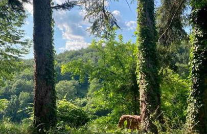 Räuberlager 15 - Foto 22