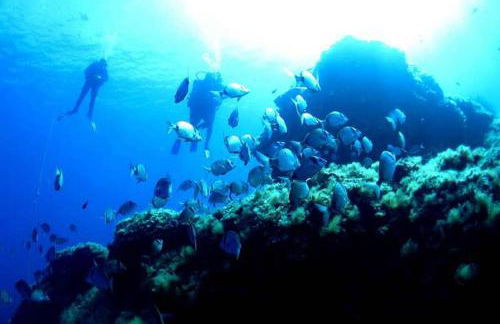 T2 Loft entre mer et montagne - Foto 25