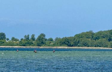 Ferienwohnung Sonnenschein - Photo 45