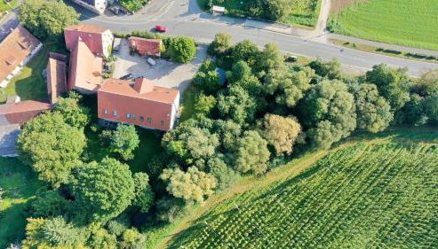 Ferienwohnungen An den SchwabachAuen - Keine Monteure - Foto 4