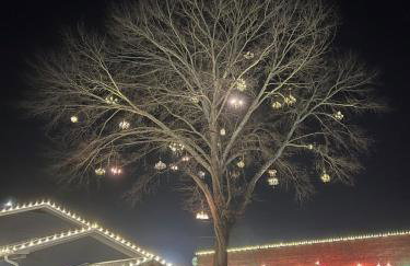 Rabbits Run Mountain Retreat - Foto 45