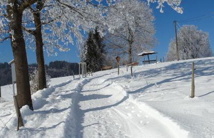 Ferienwohnung Alpenstern - Foto 12