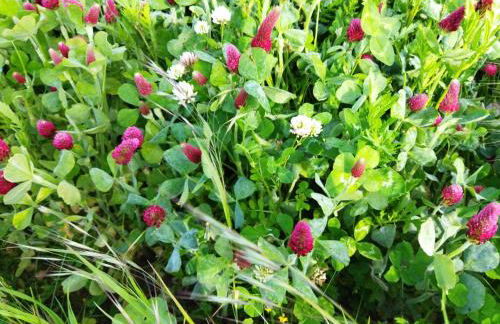 Le Chapitre - Foto 28